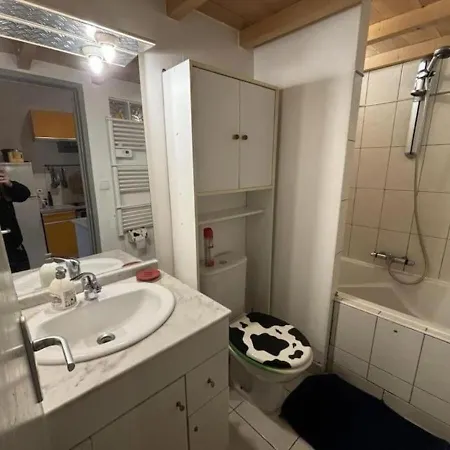 Apartment Au Centre De Tarare